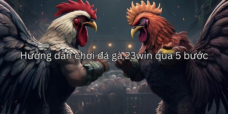 Hướng dẫn tham gia chơi đá gà 23win
