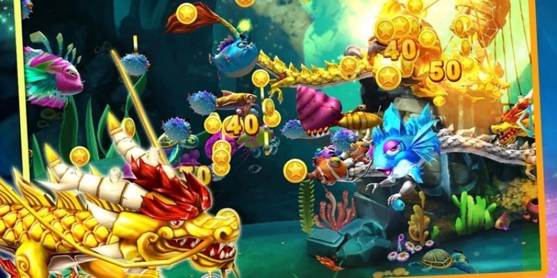 Câu Cá Rồng với mức thưởng không thể bỏ lỡ